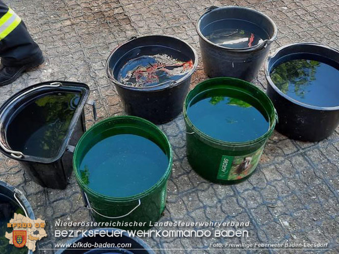 20220627 Feuerwehr versorgt zwei Reitställe und ein Biomasseheizkraftwerk nach Wasserrohrbruch Foto: Freiwillige Feuerwehr Baden-Leesdorf 20220627 Feuerwehr versorgt zwei Reitställe und ein Biomasseheizkraftwerk nach Wasserrohrbruch Foto: Freiwillige Feuerwehr Baden-Leesdorf