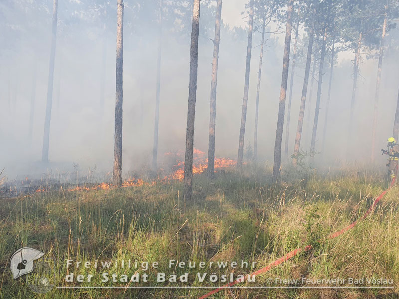 20220713 Grossbrand auf Militaergelaende in Grossmittel  Foto: Freiwillige Feuerwehr Stadt Bad Voeslau