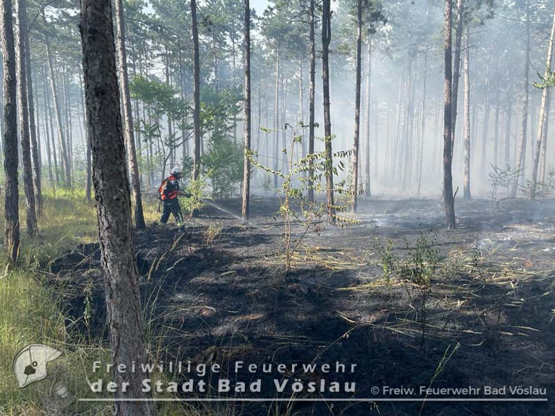 20220713 Grossbrand auf Militaergelaende in Grossmittel  Foto: Freiwillige Feuerwehr Stadt Bad Voeslau