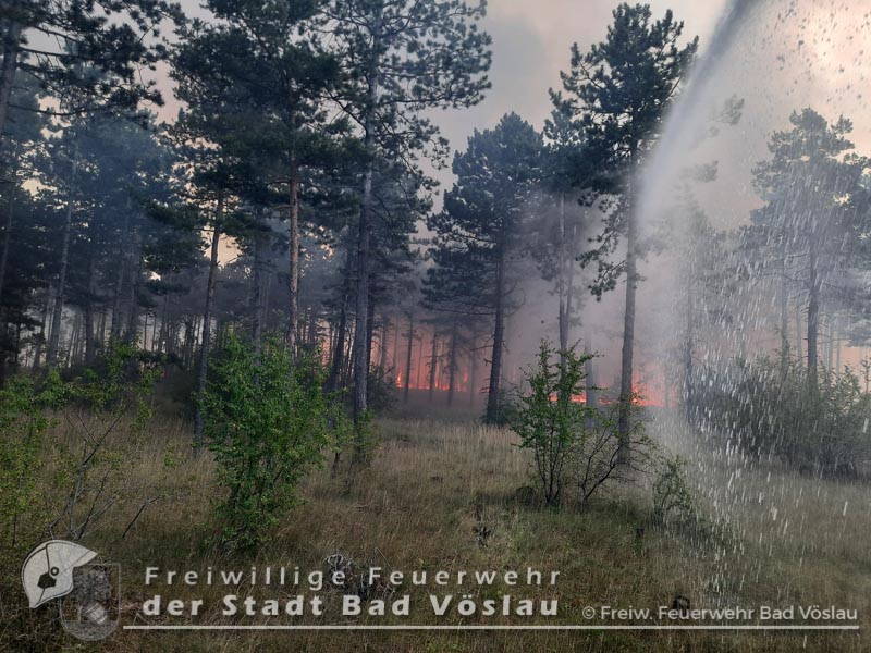 20220713 Grossbrand auf Militaergelaende in Grossmittel  Foto: Freiwillige Feuerwehr Stadt Bad Voeslau