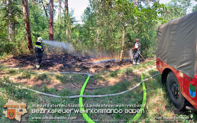 20220805 Beginnender Waldbrand in Lindabrunn-Enzesfeld rechtzeitig entdeckt  Foto: ASB Brend Taxberger BFKDO BADEN