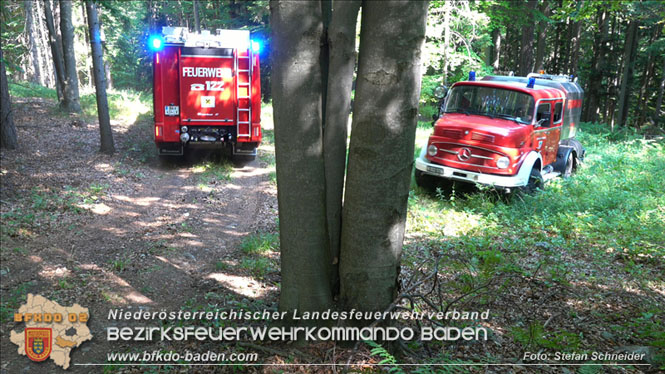 20220816 Waldbrand "Steinwand" Furth a.d.Triesting Foto: Stefan Schneider BFKDO BADEN 20220816 Waldbrand "Steinwand" Furth a.d.Triesting Foto: Stefan Schneider BFKDO BADEN