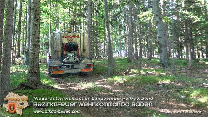 20220816 Waldbrand "Steinwand" Furth a.d.Triesting Foto: Stefan Schneider BFKDO BADEN 20220816 Waldbrand "Steinwand" Furth a.d.Triesting Foto: Stefan Schneider BFKDO BADEN