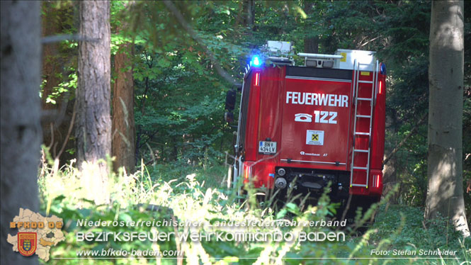 20220816 Waldbrand "Steinwand" Furth a.d.Triesting Foto: Stefan Schneider BFKDO BADEN 20220816 Waldbrand "Steinwand" Furth a.d.Triesting Foto: Stefan Schneider BFKDO BADEN