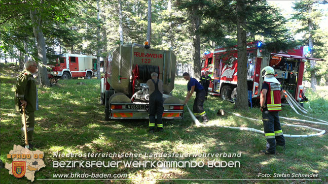 20220816 Waldbrand "Steinwand" Furth a.d.Triesting Foto: Stefan Schneider BFKDO BADEN 20220816 Waldbrand "Steinwand" Furth a.d.Triesting Foto: Stefan Schneider BFKDO BADEN