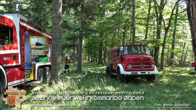 20220816 Waldbrand "Steinwand" Furth a.d.Triesting Foto: Stefan Schneider BFKDO BADEN 20220816 Waldbrand "Steinwand" Furth a.d.Triesting Foto: Stefan Schneider BFKDO BADEN