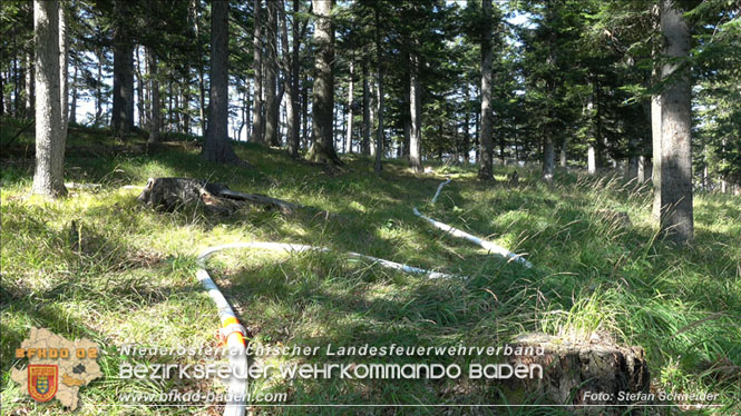 20220816 Waldbrand "Steinwand" Furth a.d.Triesting Foto: Stefan Schneider BFKDO BADEN 20220816 Waldbrand "Steinwand" Furth a.d.Triesting Foto: Stefan Schneider BFKDO BADEN