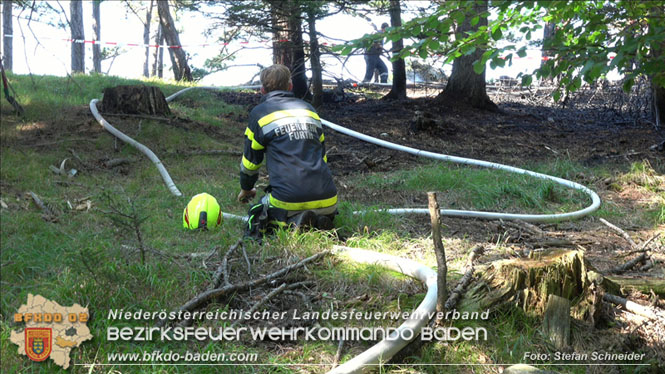 20220816 Waldbrand "Steinwand" Furth a.d.Triesting Foto: Stefan Schneider BFKDO BADEN 20220816 Waldbrand "Steinwand" Furth a.d.Triesting Foto: Stefan Schneider BFKDO BADEN