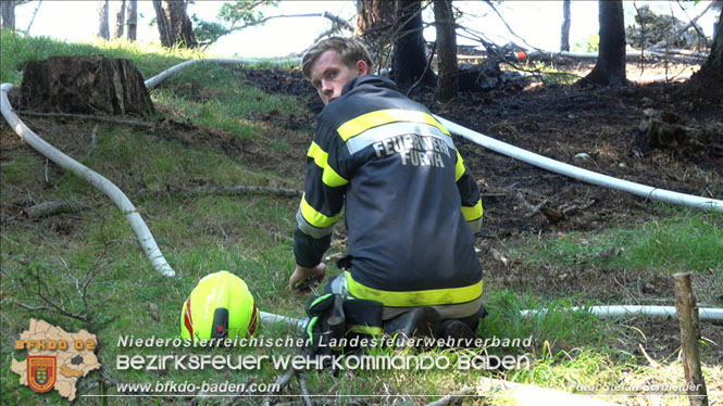 20220816 Waldbrand "Steinwand" Furth a.d.Triesting Foto: Stefan Schneider BFKDO BADEN