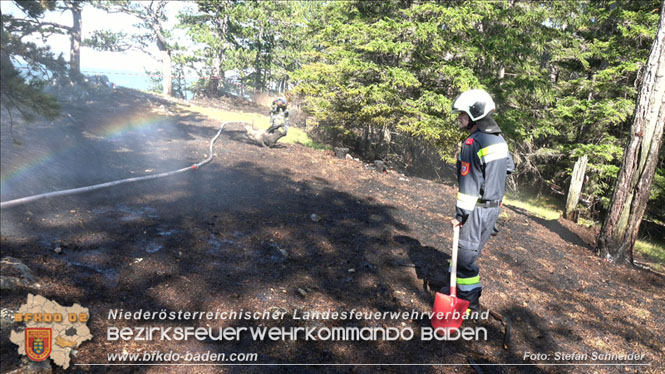 20220816 Waldbrand "Steinwand" Furth a.d.Triesting Foto: Stefan Schneider BFKDO BADEN 20220816 Waldbrand "Steinwand" Furth a.d.Triesting Foto: Stefan Schneider BFKDO BADEN