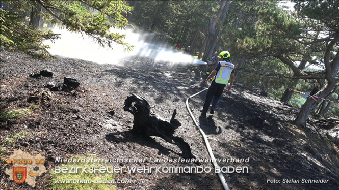 20220816 Waldbrand "Steinwand" Furth a.d.Triesting Foto: Stefan Schneider BFKDO BADEN 20220816 Waldbrand "Steinwand" Furth a.d.Triesting Foto: Stefan Schneider BFKDO BADEN