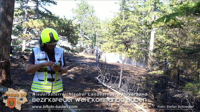 20220816 Waldbrand "Steinwand" Furth a.d.Triesting Foto: Stefan Schneider BFKDO BADEN 20220816 Waldbrand "Steinwand" Furth a.d.Triesting Foto: Stefan Schneider BFKDO BADEN