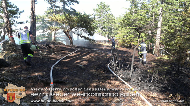 20220816 Waldbrand "Steinwand" Furth a.d.Triesting Foto: Stefan Schneider BFKDO BADEN 20220816 Waldbrand "Steinwand" Furth a.d.Triesting Foto: Stefan Schneider BFKDO BADEN