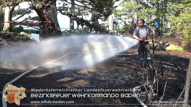 20220816 Waldbrand "Steinwand" Furth a.d.Triesting Foto: Stefan Schneider BFKDO BADEN 20220816 Waldbrand "Steinwand" Furth a.d.Triesting Foto: Stefan Schneider BFKDO BADEN