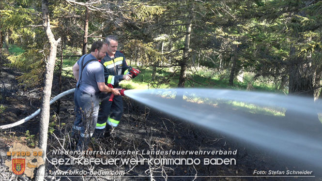 20220816 Waldbrand "Steinwand" Furth a.d.Triesting Foto: Stefan Schneider BFKDO BADEN 20220816 Waldbrand "Steinwand" Furth a.d.Triesting Foto: Stefan Schneider BFKDO BADEN