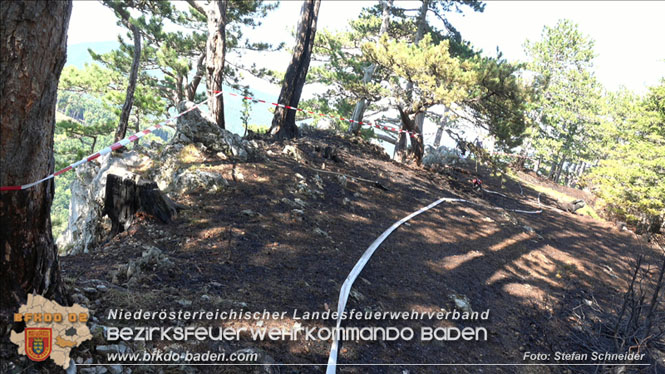 20220816 Waldbrand "Steinwand" Furth a.d.Triesting Foto: Stefan Schneider BFKDO BADEN 20220816 Waldbrand "Steinwand" Furth a.d.Triesting Foto: Stefan Schneider BFKDO BADEN