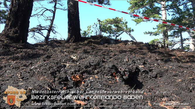 20220816 Waldbrand "Steinwand" Furth a.d.Triesting Foto: Stefan Schneider BFKDO BADEN 20220816 Waldbrand "Steinwand" Furth a.d.Triesting Foto: Stefan Schneider BFKDO BADEN