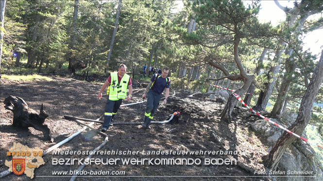 20220816 Waldbrand "Steinwand" Furth a.d.Triesting Foto: Stefan Schneider BFKDO BADEN 20220816 Waldbrand "Steinwand" Furth a.d.Triesting Foto: Stefan Schneider BFKDO BADEN