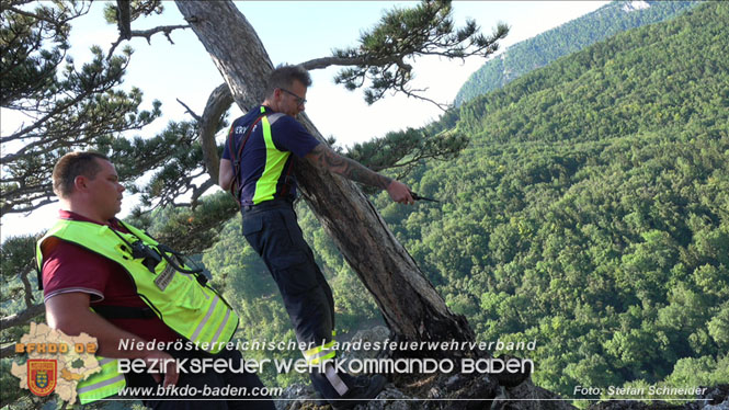 20220816 Waldbrand "Steinwand" Furth a.d.Triesting Foto: Stefan Schneider BFKDO BADEN 20220816 Waldbrand "Steinwand" Furth a.d.Triesting Foto: Stefan Schneider BFKDO BADEN
