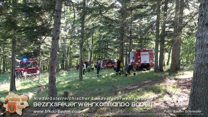 20220816 Waldbrand "Steinwand" Furth a.d.Triesting Foto: Stefan Schneider BFKDO BADEN 20220816 Waldbrand "Steinwand" Furth a.d.Triesting Foto: Stefan Schneider BFKDO BADEN
