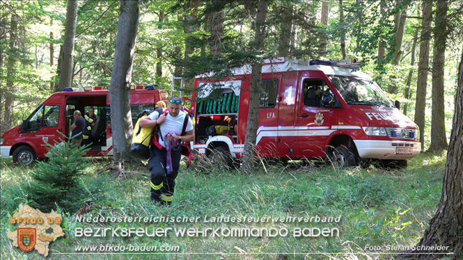 20220816 Waldbrand "Steinwand" Furth a.d.Triesting Foto: Stefan Schneider BFKDO BADEN 20220816 Waldbrand "Steinwand" Furth a.d.Triesting Foto: Stefan Schneider BFKDO BADEN