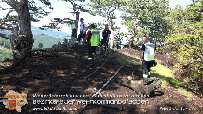 20220816 Waldbrand "Steinwand" Furth a.d.Triesting Foto: Stefan Schneider BFKDO BADEN 20220816 Waldbrand "Steinwand" Furth a.d.Triesting Foto: Stefan Schneider BFKDO BADEN