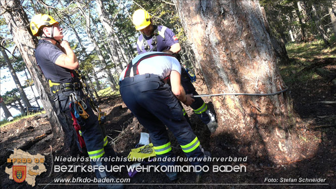 20220816 Waldbrand "Steinwand" Furth a.d.Triesting Foto: Stefan Schneider BFKDO BADEN 20220816 Waldbrand "Steinwand" Furth a.d.Triesting Foto: Stefan Schneider BFKDO BADEN
