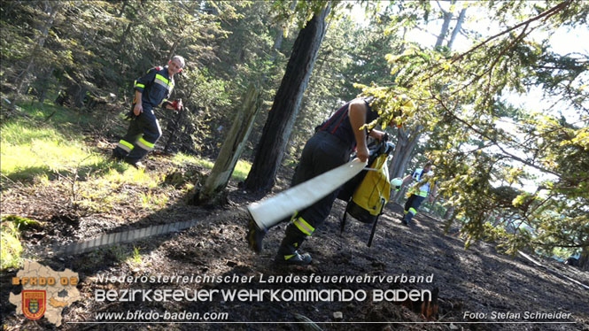 20220816 Waldbrand "Steinwand" Furth a.d.Triesting Foto: Stefan Schneider BFKDO BADEN 20220816 Waldbrand "Steinwand" Furth a.d.Triesting Foto: Stefan Schneider BFKDO BADEN