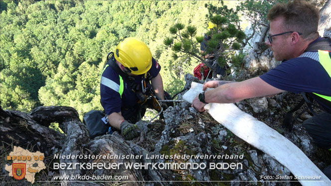 20220816 Waldbrand "Steinwand" Furth a.d.Triesting Foto: Stefan Schneider BFKDO BADEN 20220816 Waldbrand "Steinwand" Furth a.d.Triesting Foto: Stefan Schneider BFKDO BADEN