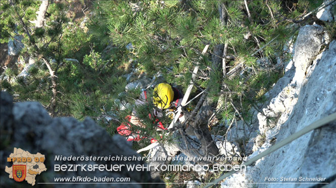 20220816 Waldbrand "Steinwand" Furth a.d.Triesting Foto: Stefan Schneider BFKDO BADEN 20220816 Waldbrand "Steinwand" Furth a.d.Triesting Foto: Stefan Schneider BFKDO BADEN