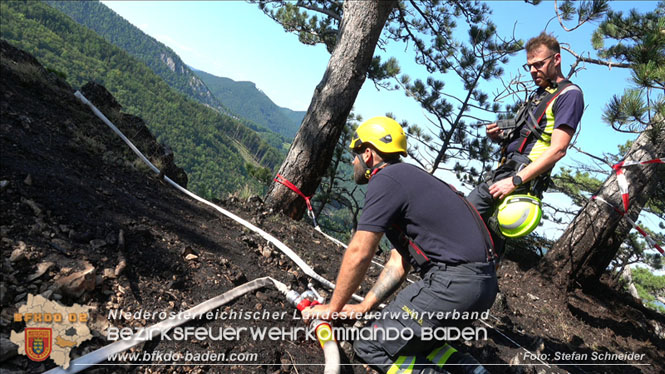 20220816 Waldbrand "Steinwand" Furth a.d.Triesting Foto: Stefan Schneider BFKDO BADEN