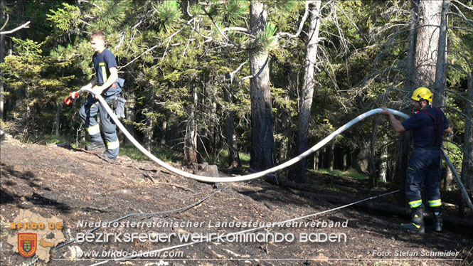 20220816 Waldbrand "Steinwand" Furth a.d.Triesting Foto: Stefan Schneider BFKDO BADEN 20220816 Waldbrand "Steinwand" Furth a.d.Triesting Foto: Stefan Schneider BFKDO BADEN