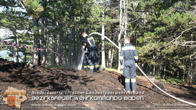 20220816 Waldbrand "Steinwand" Furth a.d.Triesting Foto: Stefan Schneider BFKDO BADEN 20220816 Waldbrand "Steinwand" Furth a.d.Triesting Foto: Stefan Schneider BFKDO BADEN