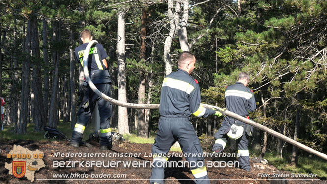 20220816 Waldbrand "Steinwand" Furth a.d.Triesting Foto: Stefan Schneider BFKDO BADEN 20220816 Waldbrand "Steinwand" Furth a.d.Triesting Foto: Stefan Schneider BFKDO BADEN