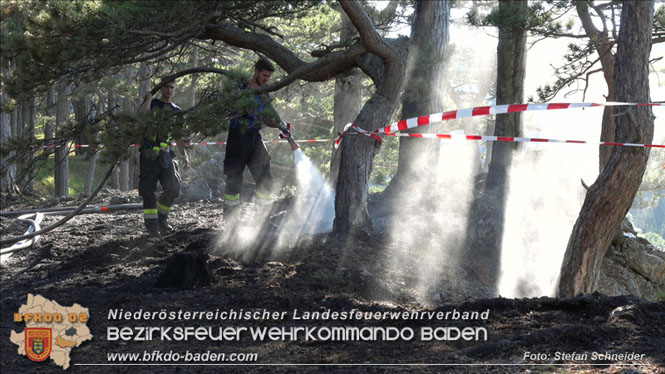 20220816 Waldbrand "Steinwand" Furth a.d.Triesting Foto: Stefan Schneider BFKDO BADEN 20220816 Waldbrand "Steinwand" Furth a.d.Triesting Foto: Stefan Schneider BFKDO BADEN
