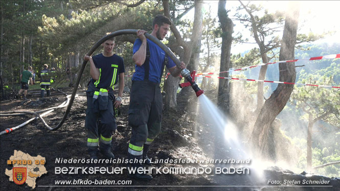 20220816 Waldbrand "Steinwand" Furth a.d.Triesting Foto: Stefan Schneider BFKDO BADEN 20220816 Waldbrand "Steinwand" Furth a.d.Triesting Foto: Stefan Schneider BFKDO BADEN