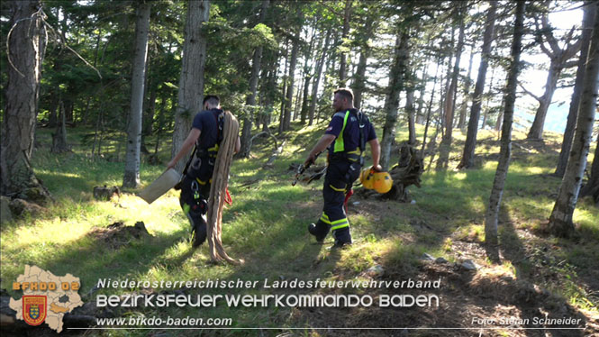 20220816 Waldbrand "Steinwand" Furth a.d.Triesting Foto: Stefan Schneider BFKDO BADEN 20220816 Waldbrand "Steinwand" Furth a.d.Triesting Foto: Stefan Schneider BFKDO BADEN