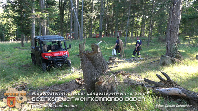 20220816 Waldbrand "Steinwand" Furth a.d.Triesting Foto: Stefan Schneider BFKDO BADEN 20220816 Waldbrand "Steinwand" Furth a.d.Triesting Foto: Stefan Schneider BFKDO BADEN