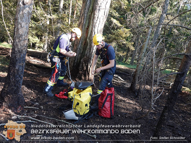 20220816 Waldbrand "Steinwand" Furth a.d.Triesting Foto: Stefan Schneider BFKDO BADEN
