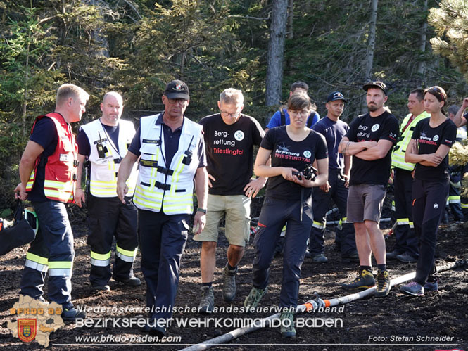 20220816 Waldbrand "Steinwand" Furth a.d.Triesting Foto: Stefan Schneider BFKDO BADEN