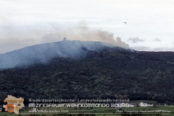 20220820 Alarmstufe 3 bei Waldbrand am Harzberg   Foto: FF Bad Vöslau