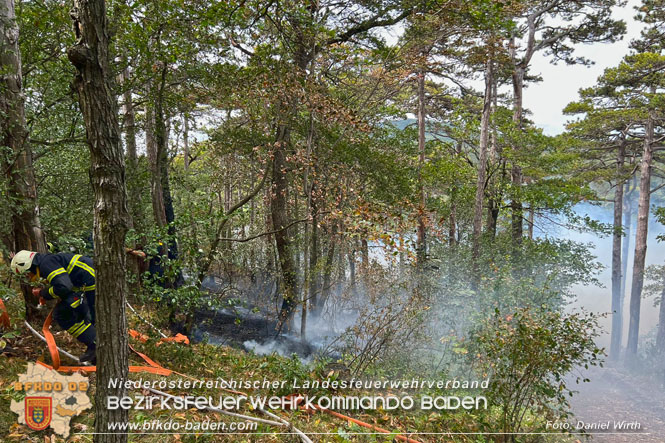 20220820 Alarmstufe 3 bei Waldbrand am Harzberg   Foto: FF Bad Vöslau