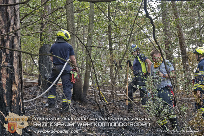 20220820 Alarmstufe 3 bei Waldbrand am Harzberg   Foto: Stefan Schneider BFKDO BADEN
