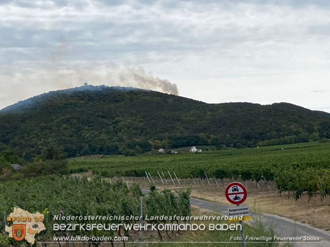 20220820 Alarmstufe 3 bei Waldbrand am Harzberg   Foto: FF Sooß