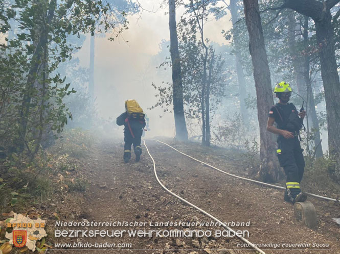 20220820 Alarmstufe 3 bei Waldbrand am Harzberg   Foto: FF Sooß