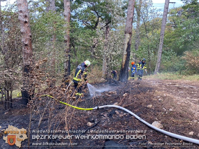 20220820 Alarmstufe 3 bei Waldbrand am Harzberg   Foto: FF Sooß