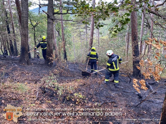 20220820 Alarmstufe 3 bei Waldbrand am Harzberg   Foto: FF Sooß