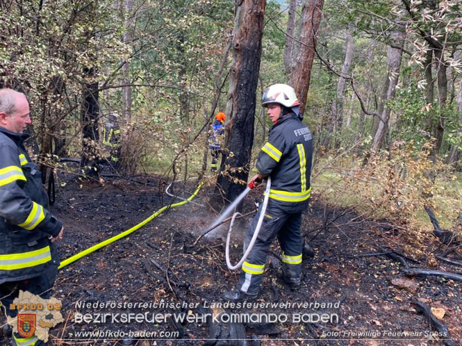 20220820 Alarmstufe 3 bei Waldbrand am Harzberg   Foto: FF Sooß