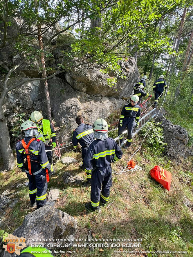 20220820 Hund über Felsen abgestürzt in Nöstach-Hafnerberg Foto: FF Nöstach / Markus Fischer 20220820 Hund über Felsen abgestürzt in Nöstach-Hafnerberg Foto: FF Nöstach / Markus Fischer