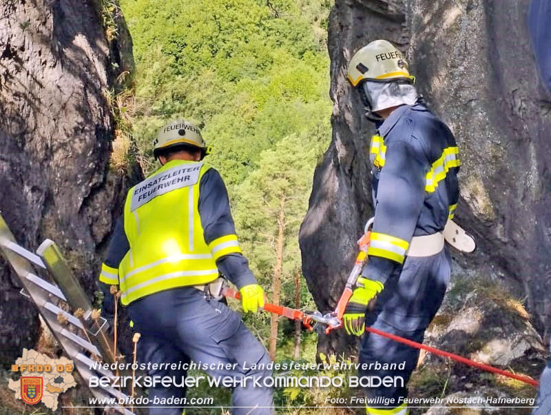 20220820 Hund über Felsen abgestürzt in Nöstach-Hafnerberg Foto: FF Nöstach / Markus Fischer 20220820 Hund über Felsen abgestürzt in Nöstach-Hafnerberg Foto: FF Nöstach / Markus Fischer
